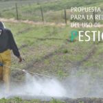 como evitar el uso de pesticidas