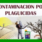el uso de pesticidas y plaguicid