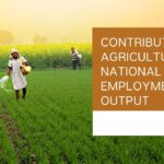 has agriculture contributed to t
